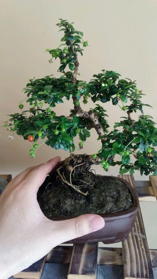 福建自然探索之旅,追寻内心的平和与喜悦