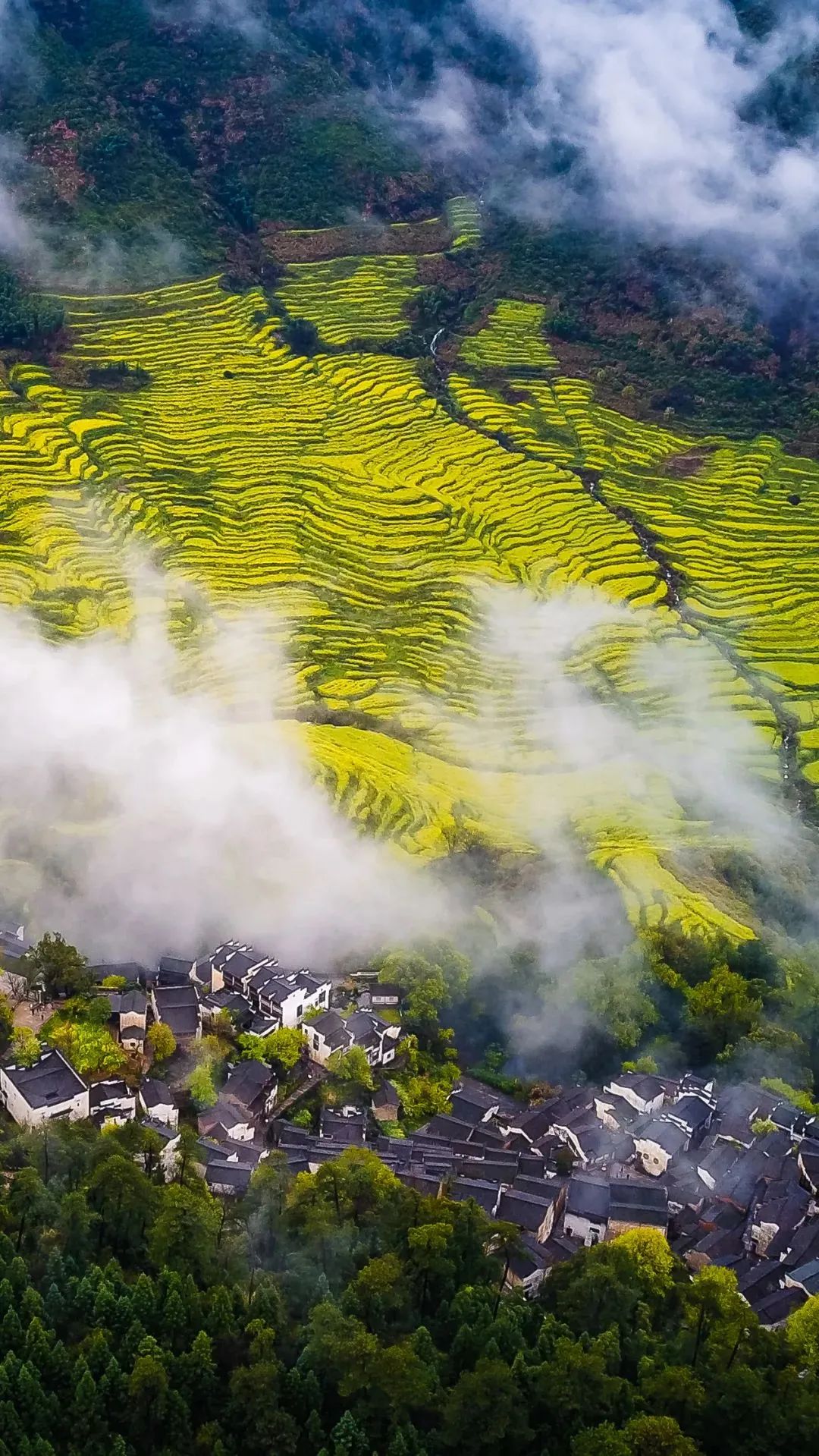 江西，历史底蕴与现代魅力的交织之地揭秘探秘之旅