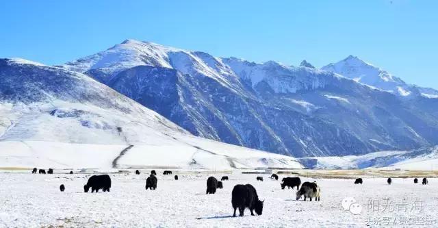 青海,邂逅自然之美的温柔之旅